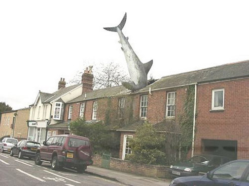 Roof Over Head