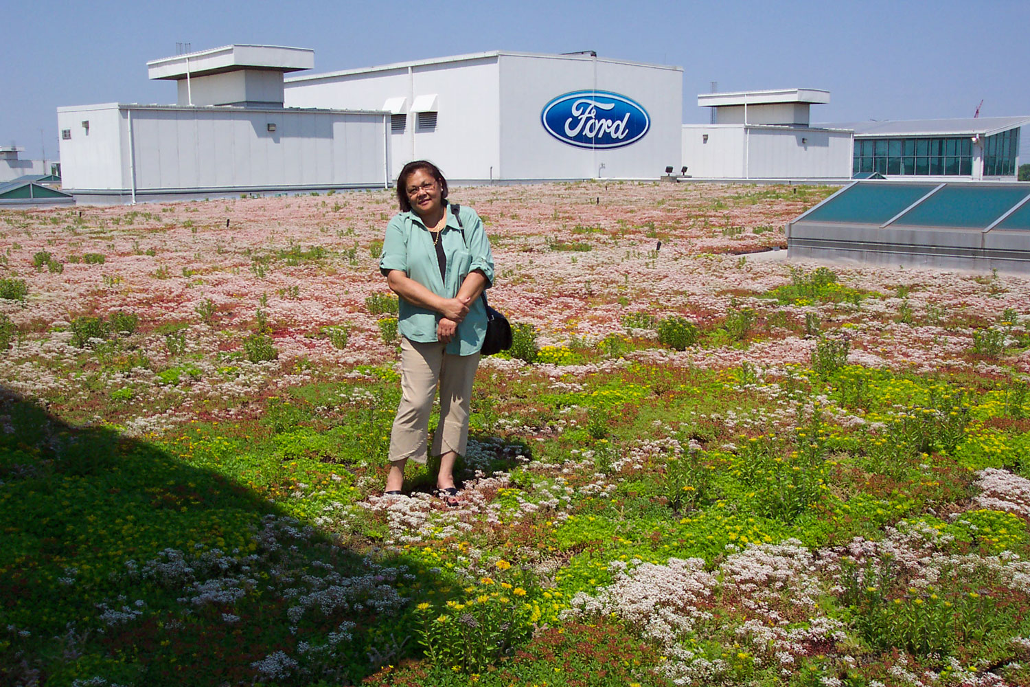 Ford Motor Company's River Rouge Truck - Greenroofs.com