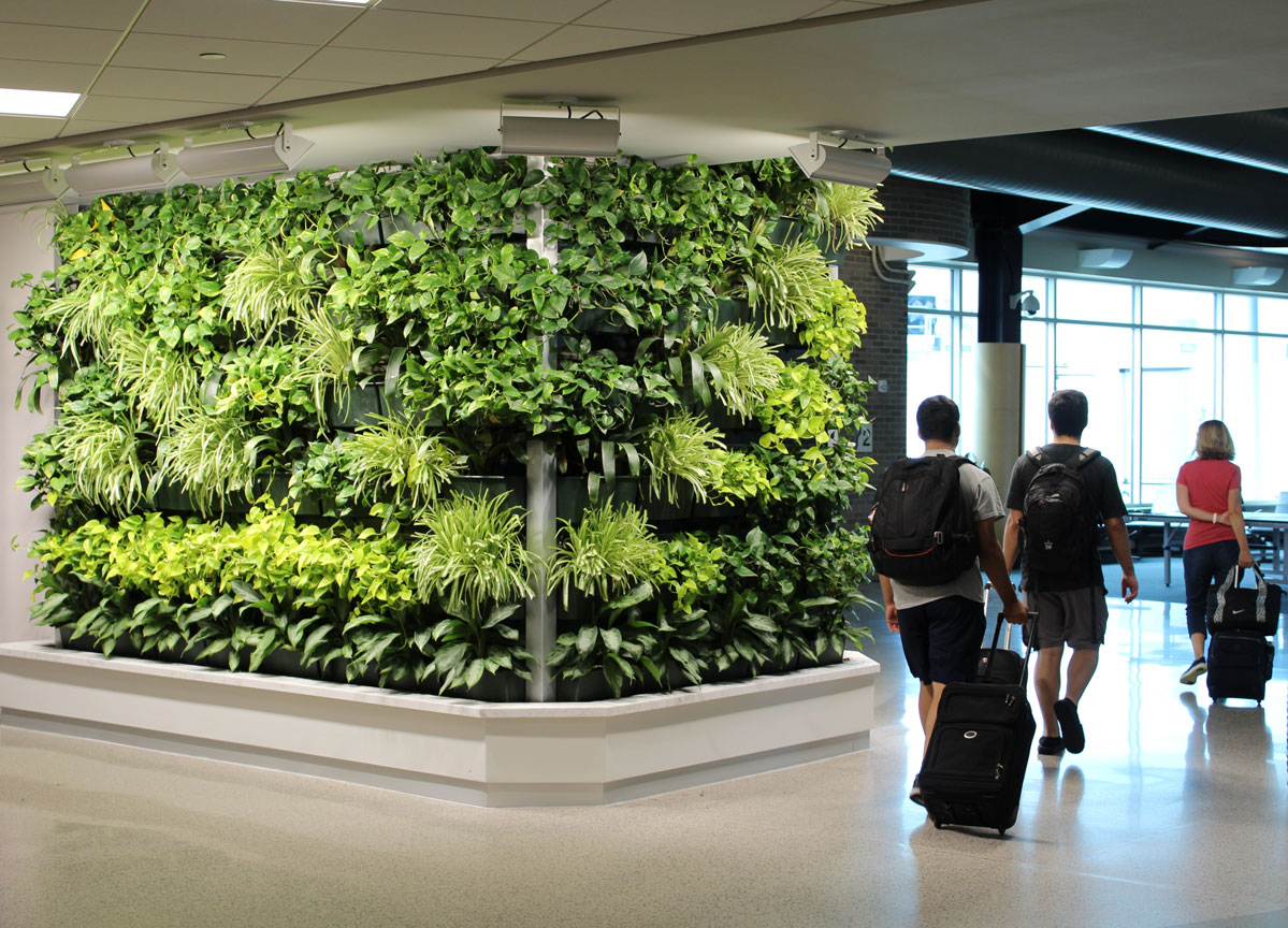 Refreshed Green Wall breathes new Life into Terminal 3