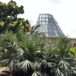Lucile Halsell Conservatory