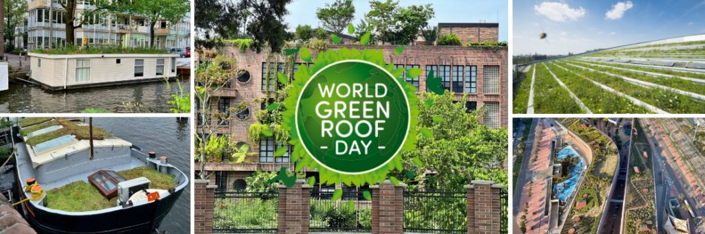 Celebrate World Green Roof Day #WGRD2024 Today June 6th with...Random Greenroofs?