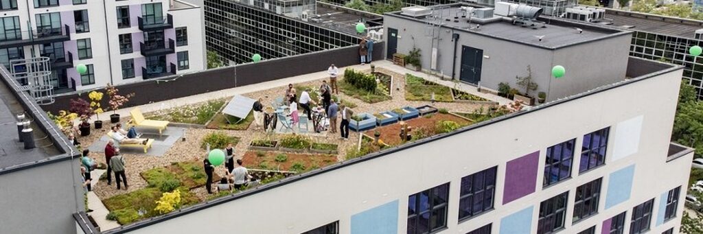 Celebrating World Green Roof Day with Roof Top Community Lunch at YMCA Milton Keynes