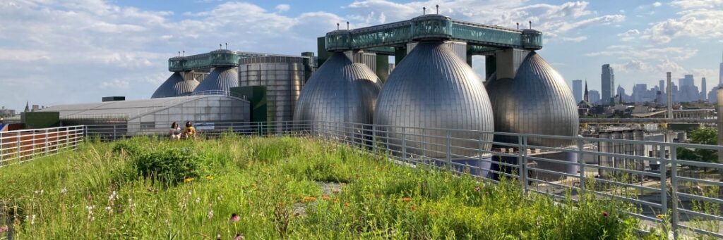 A Brooklyn Green Roof Offers a Look at a Climate Resilient Future