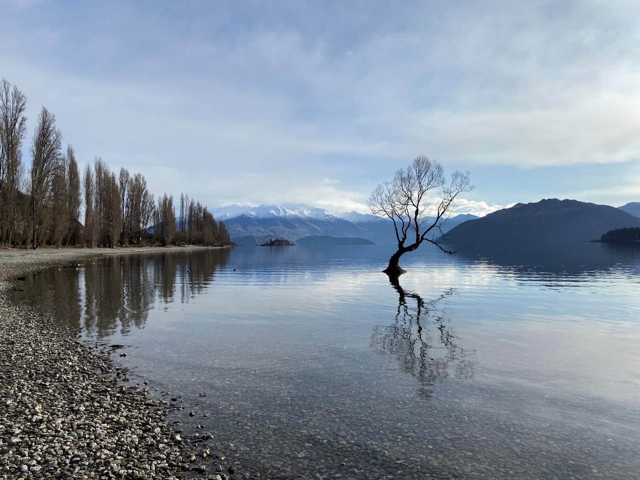 World Green Infrastructure Congress 2024 in NZ