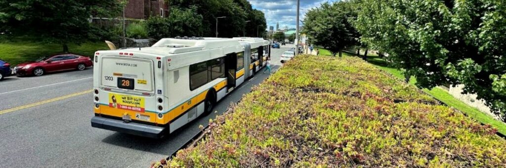 City of Boston Unveils 30 Green Roofs On Bus Shelters