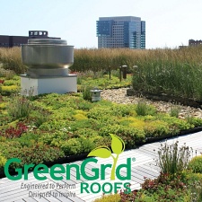 Green Roof Plant Selection Guidelines - GreenGrid Roofs