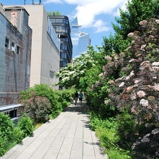 High Line Redux 2023, Part 2 of 2