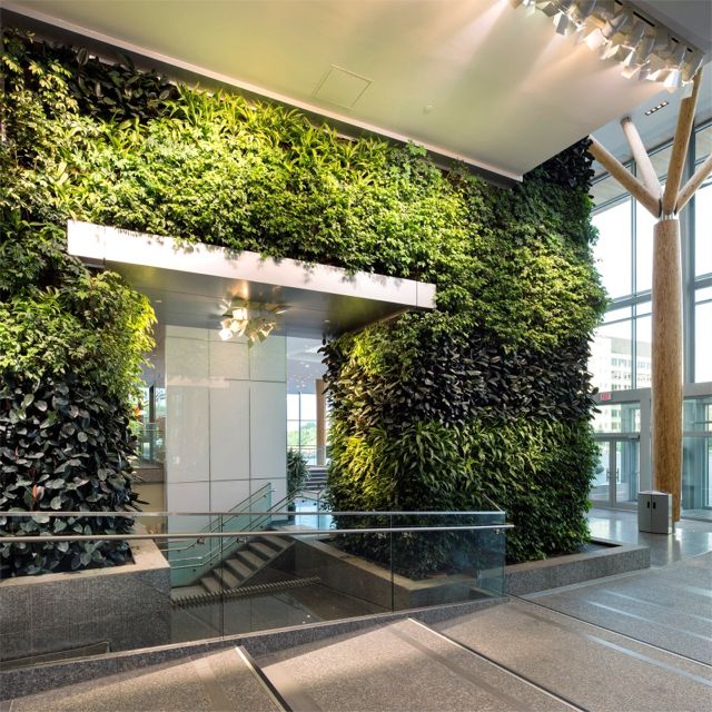 Greenroofs.com GPW: Edmonton Federal Building Living Wall Biofilter