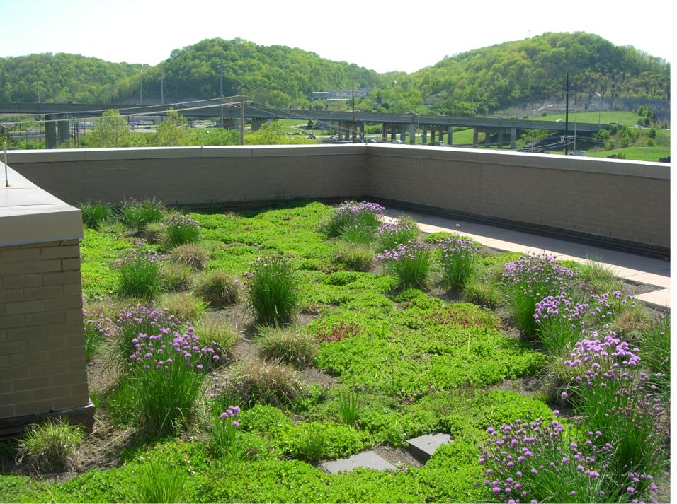 Sanitation District No 1 Of Northern Kentucky SD1 Greenroofs