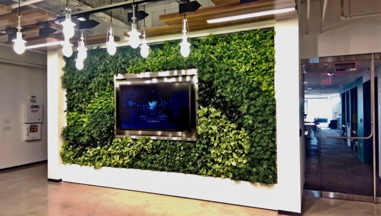 Interior Designers Grow Company Talent with Living Green Wall Branding ...