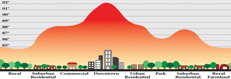 What Can We Do About the Urban Heat Island Effect - Greenroofs.com