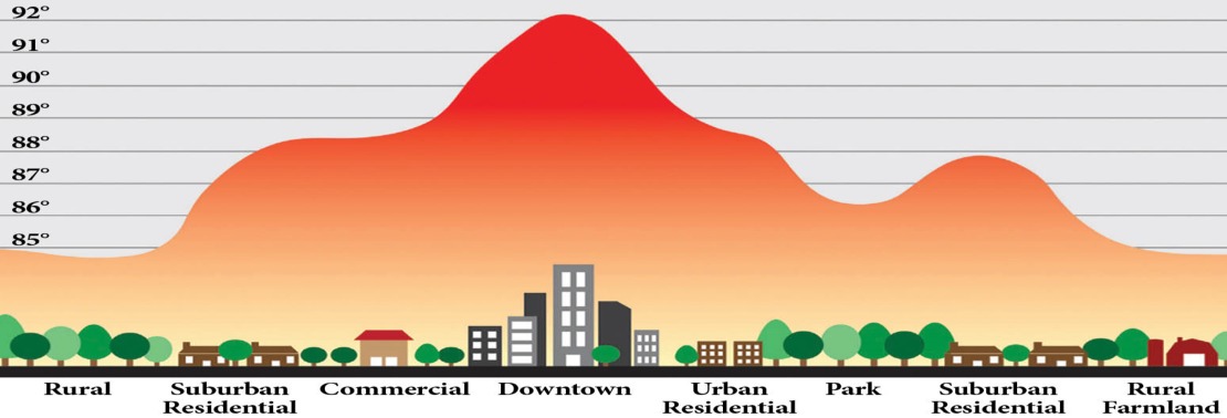 What Can We Do About The Urban Heat Island Effect Greenroofs