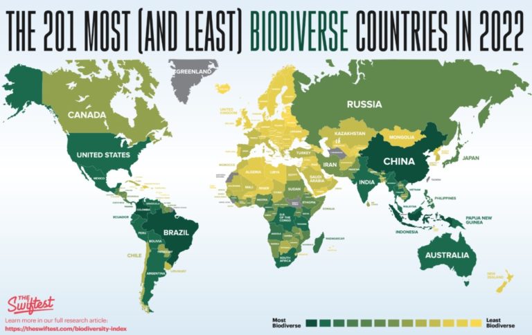 Global Biodiversity Ranked: Which Country Has the Most Flora and Fauna