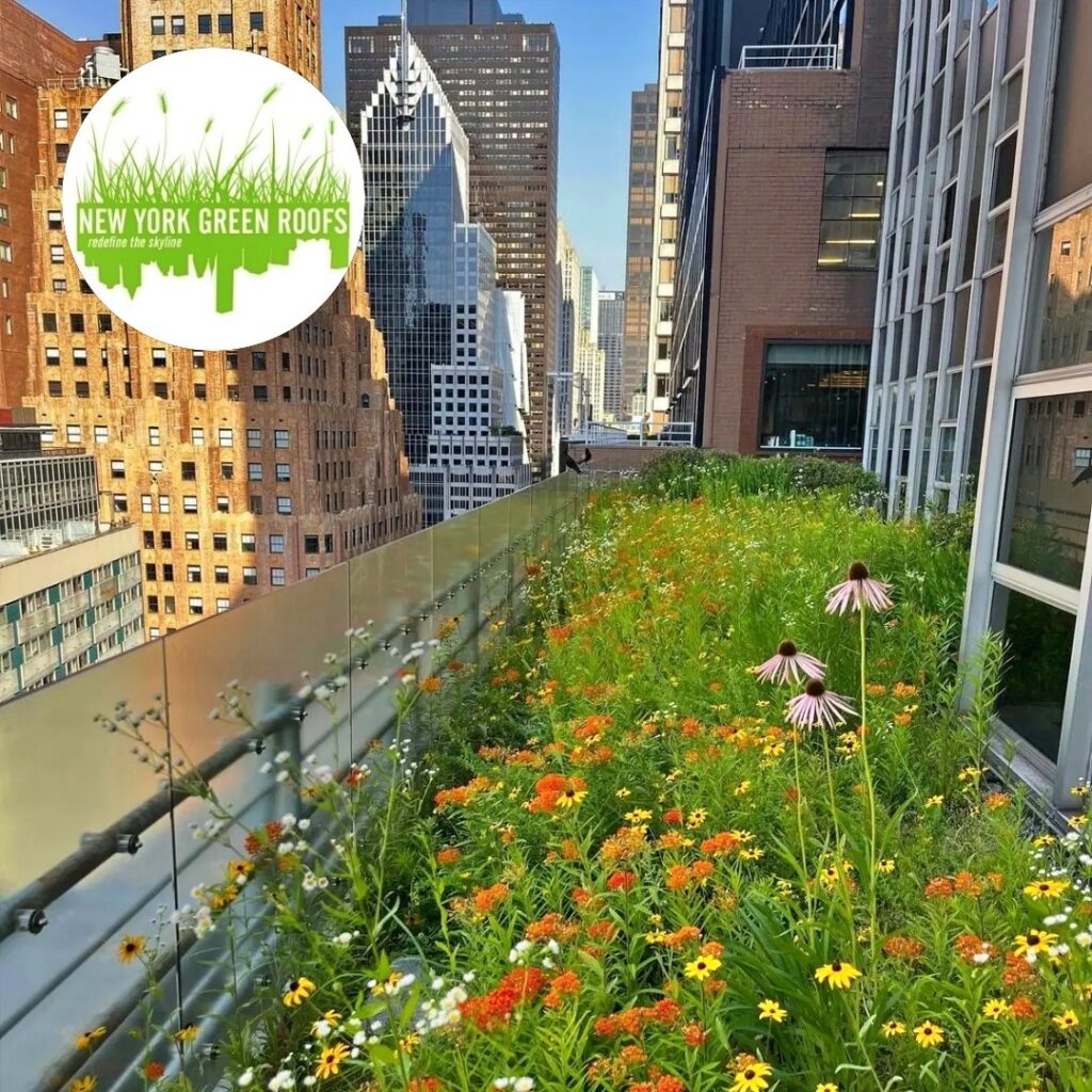 Amy Falder of New York Green Roofs Featured in 