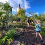 Hundertwasser Art Centre and Wairau Maori Art Gallery Living Roof