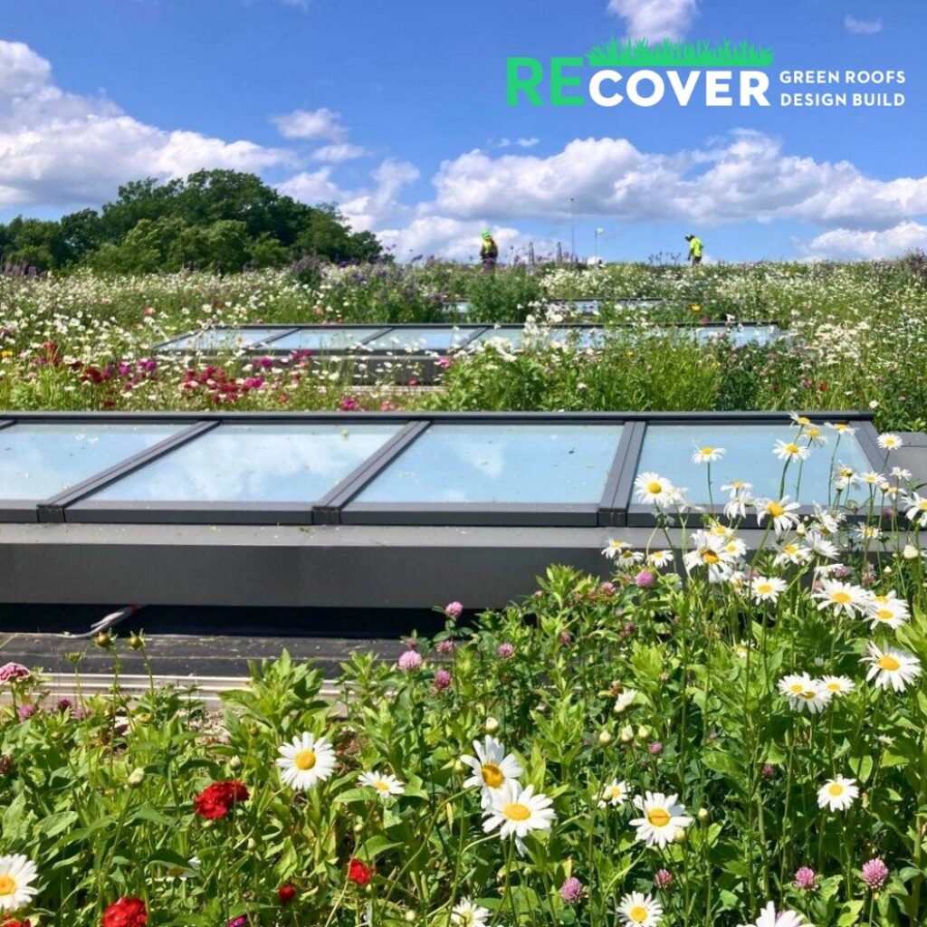 Recover Green Roofs Celebrates 15th Anniversary with Major Princeton University Project